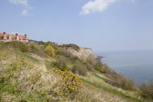 christina robin hoods bay 5 sm.jpg